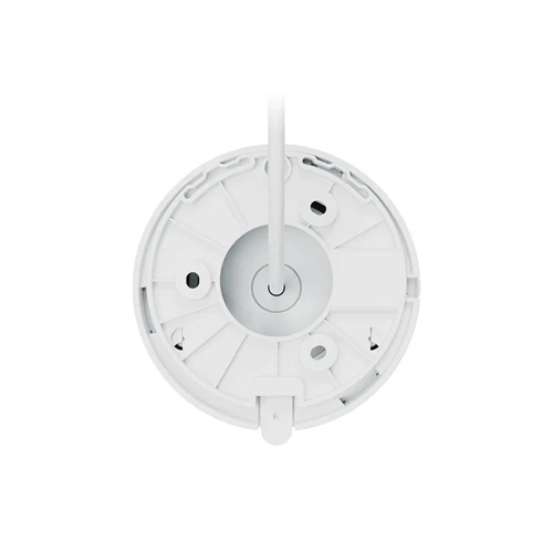 50050_grande